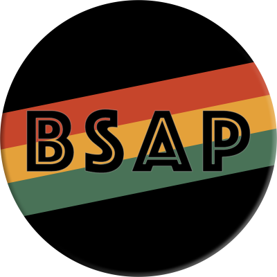 Black Student Achievement Program